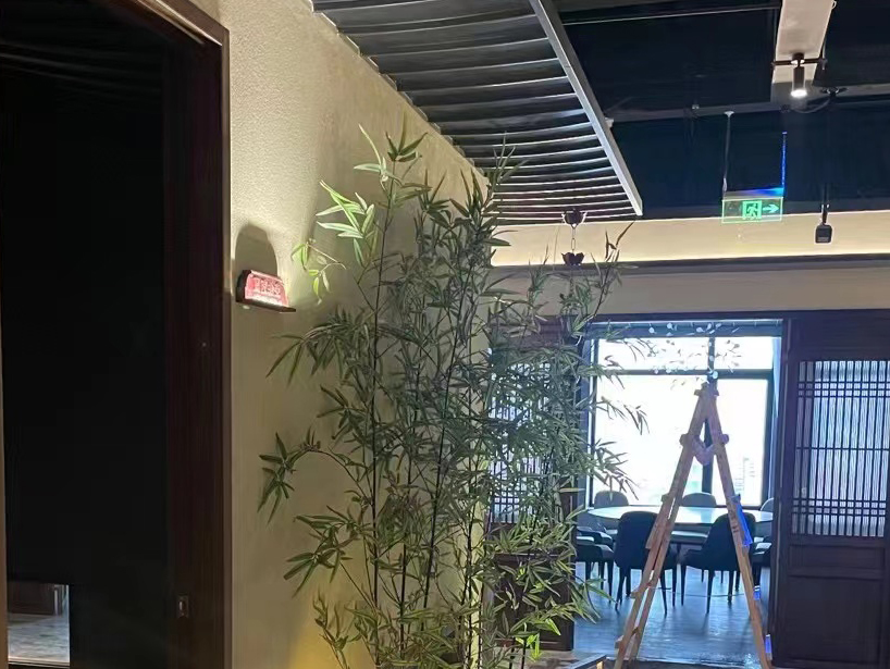博尔塔拉合作伙伴